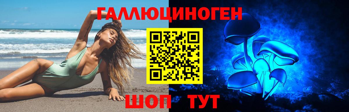 Псилоцибиновые грибы ЛСД Барабинск