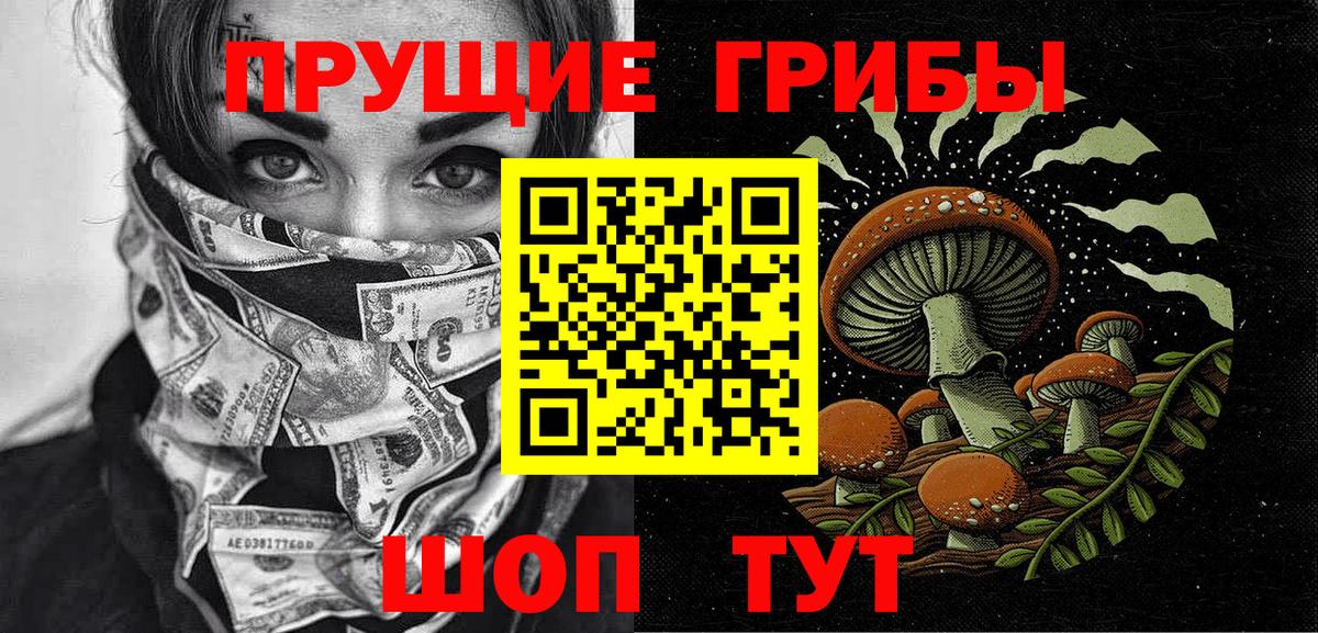 Барабинск  как найти закладки  Вход с VPN  Галлюциногенные грибы мицелий  Псилоцибиновые грибы Psilocybe 